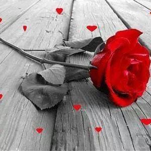 صورة المستخدم الإفتراضية