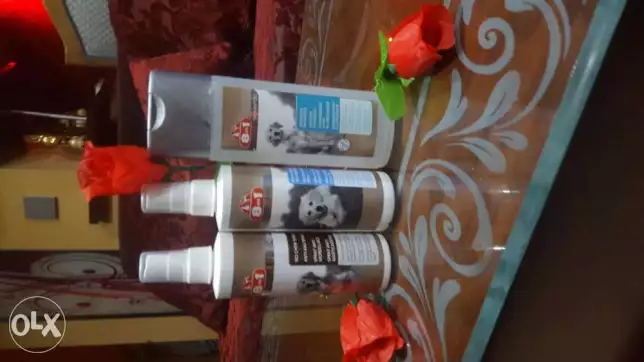 مستلزمات للكلاب