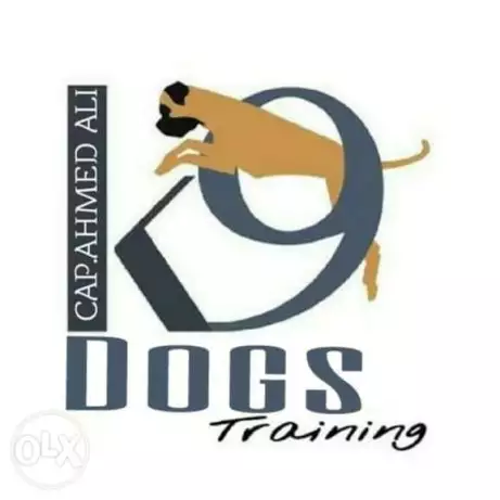 تدريب طاعه وشراسه