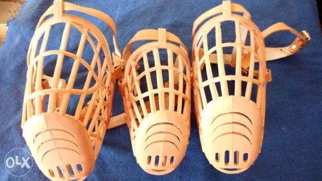 كمامة للكلاب