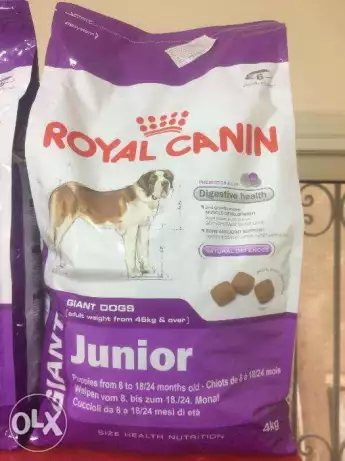 485Royal Canin GIANT JUNIOR 4kg
