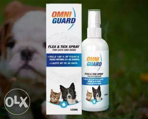 امني جارد اسبراي 125ملي