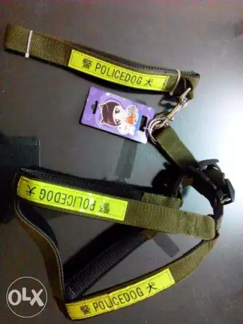 حزام صدر وكمامه كلاب حراسة