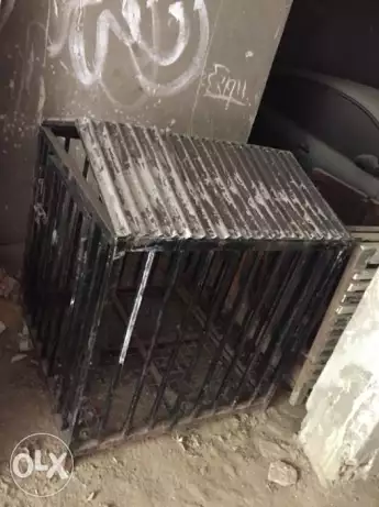 سجانه كلب بيت كلب