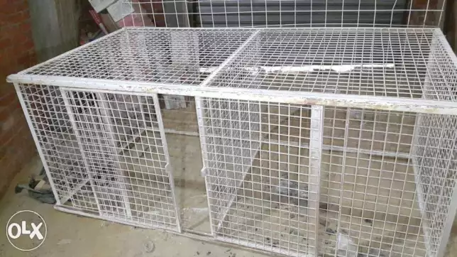 سجانة كلاب حديد محمل عنين لكلبين