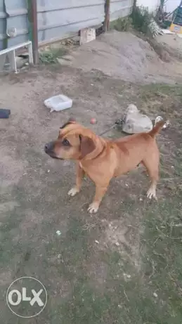 ليتا سنة و٨ شهور سبق لها الإنجاب