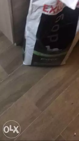 Dry Food دراى فود for puppy used اكل كلب