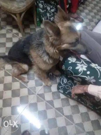 نتايه 7شهور داخله على حيض