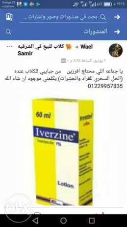 للكلاب افرازين