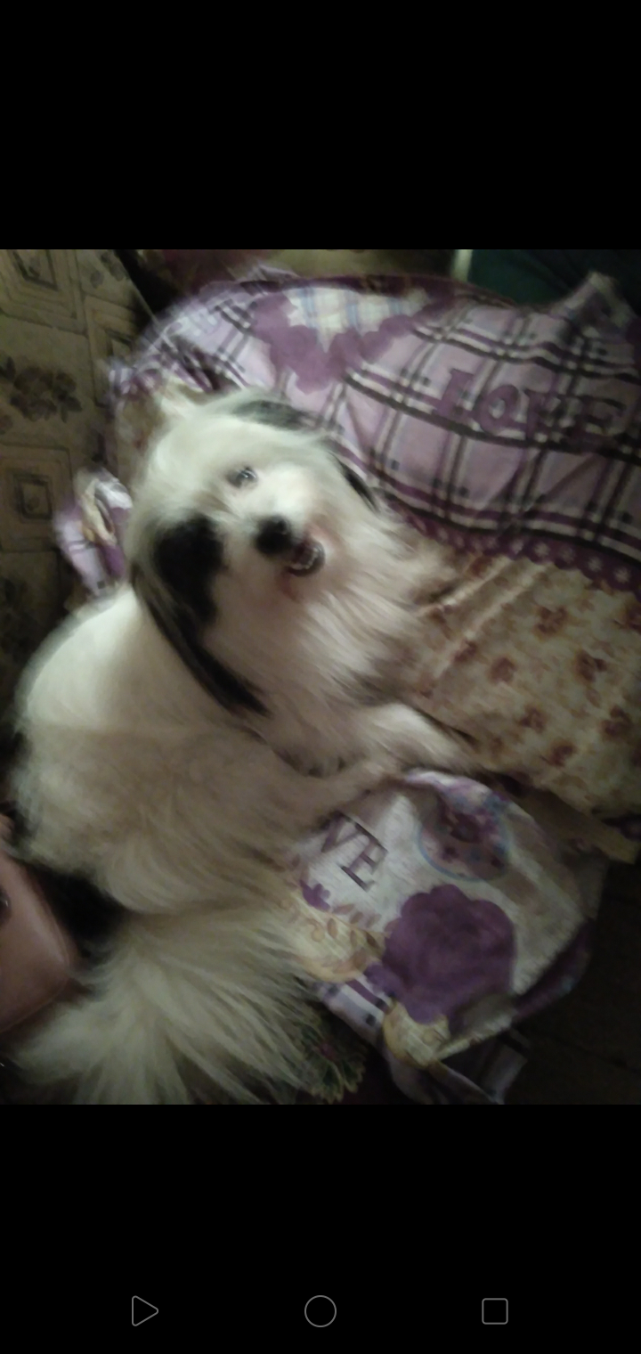 الاسكندريه