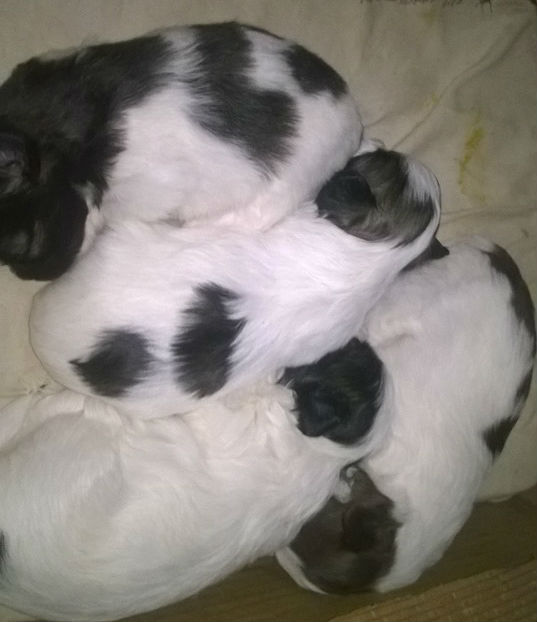 متاح SOOOOOON لهواه التميز والجمال