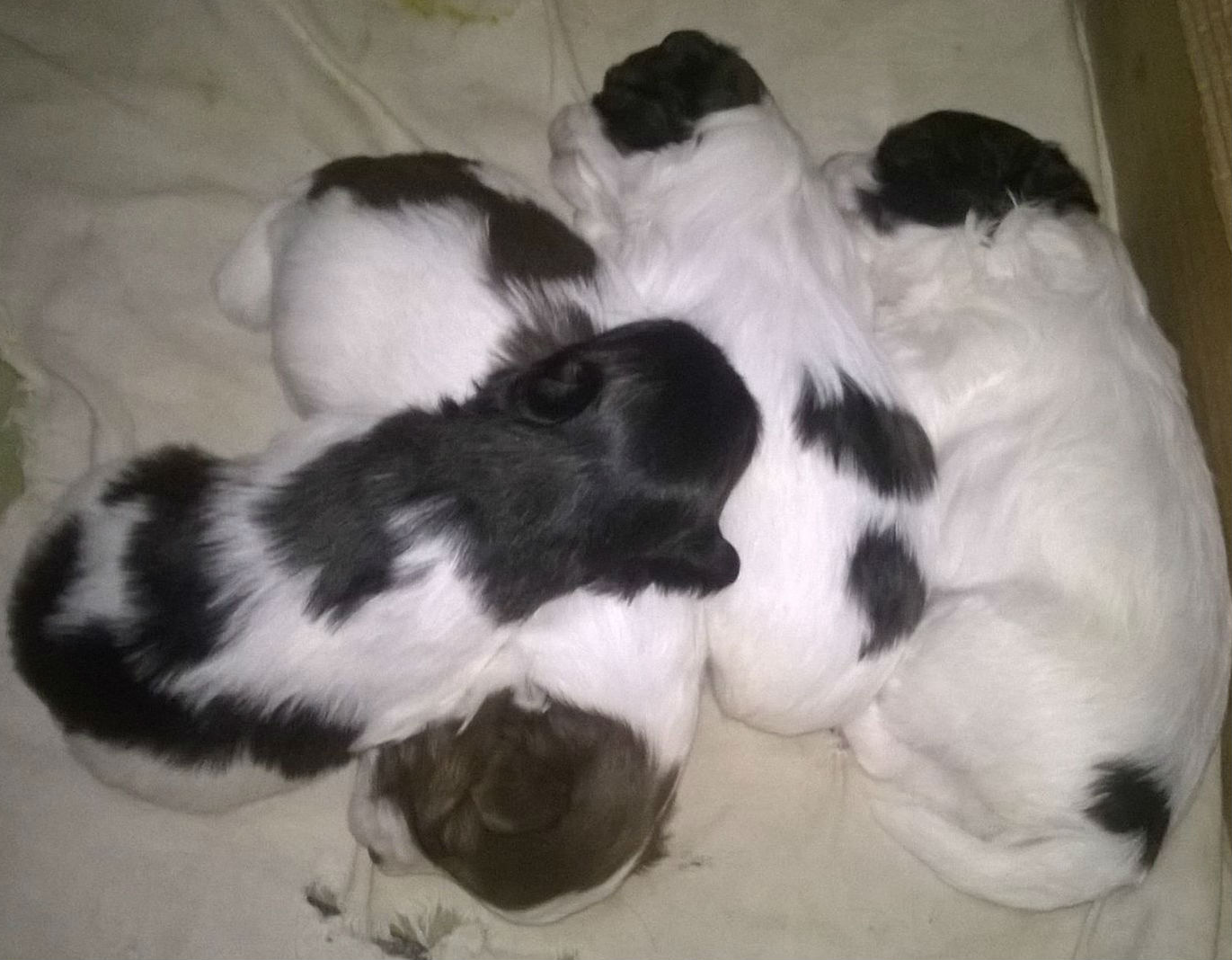 متاح SOOOOOON لهواه التميز والجمال