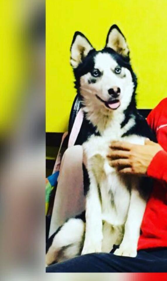 مدينة الشىوق