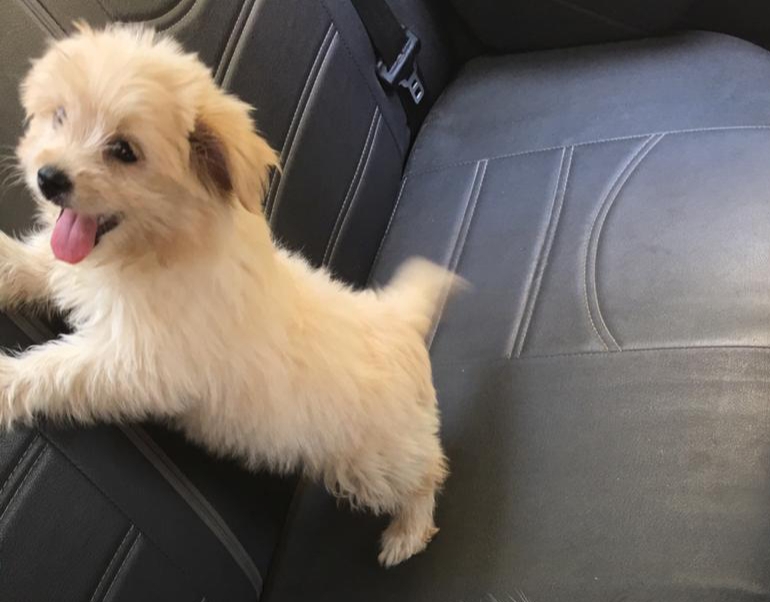 6اكتوبر الحي الثاني