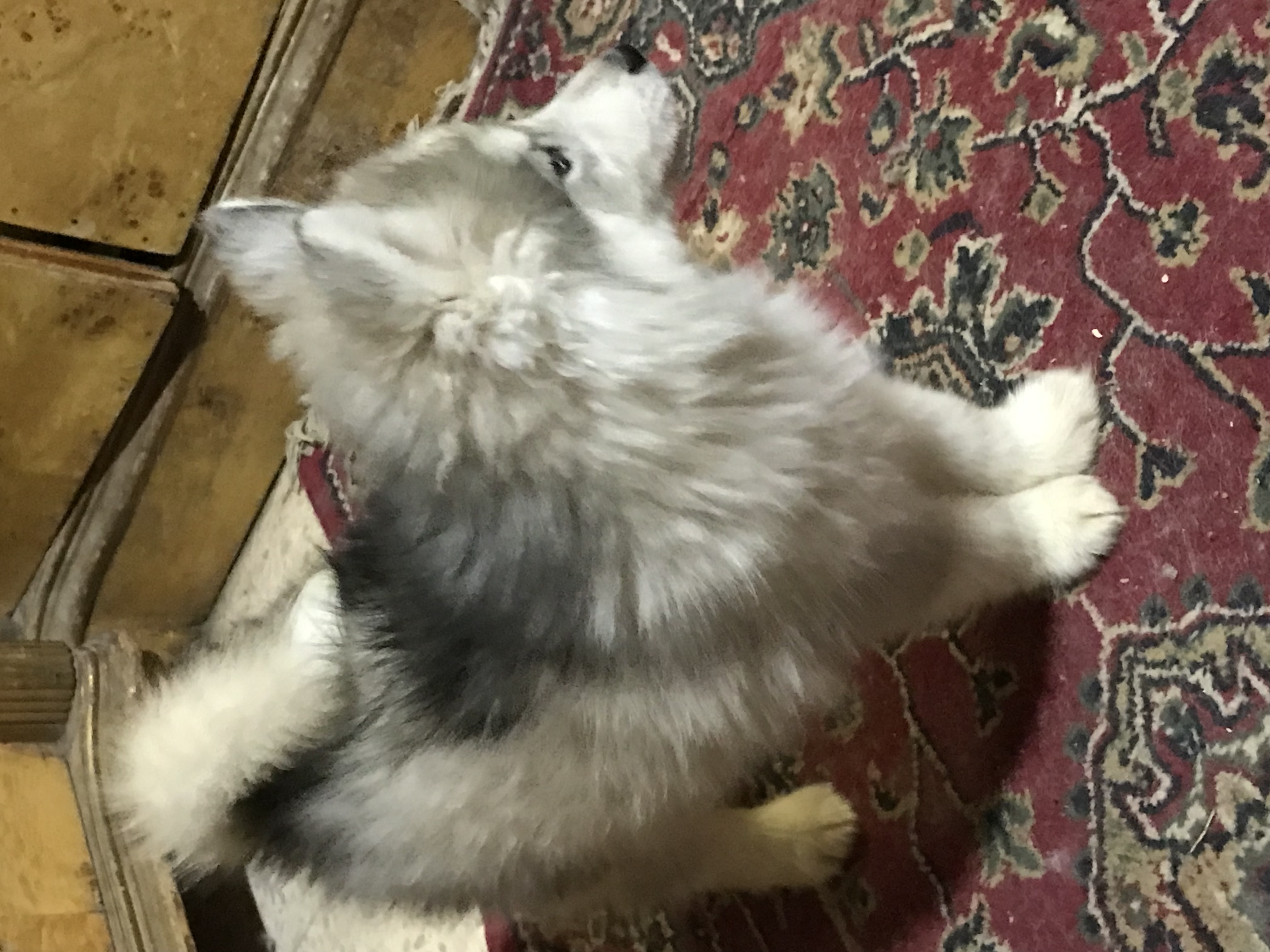 مدينة نصر القاهرة